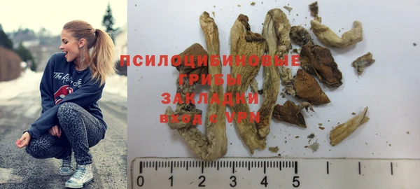 дживик Баксан