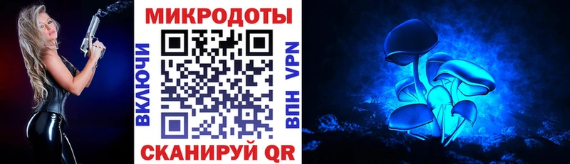 сколько стоит  Кстово  Псилоцибиновые грибы Cubensis 